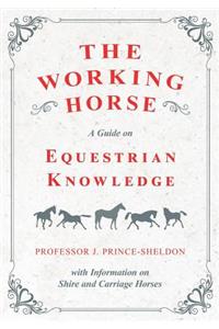 Working Horse - A Guide on Equestrian Knowledge with Information on Shire and Carriage Horses