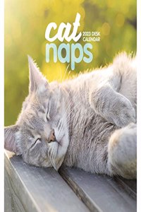 2023 Cat Naps Easel Calendar