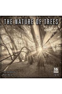 2019 the Nature of Trees 16-Month Wall Calendar: By Sellers Publishing