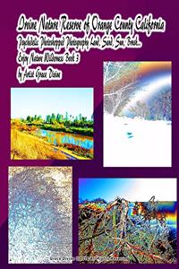 Irvine Nature Reserve of Orange County California Psychedelic Photoshopped Photography Land, Sand, Sun, Brush... Enjoy Nature Wilderness Book 3 by Artist Grace Divine