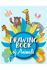 Drawing Book Of Animals