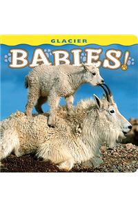 Glacier Babies!