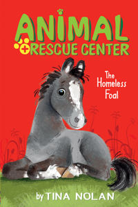 Homeless Foal