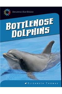 Bottlenose Dolphins