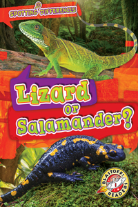 Lizard or Salamander?