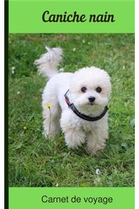 Caniche nain Carnet de voyage