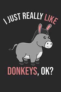 I Just Really Like Donkeys, OK?