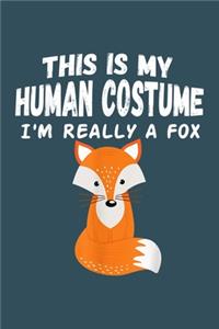 This is my human costume im really a fox