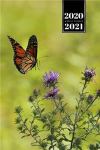 Butterfly Butterflies Insect Week Planner Weekly Organizer Calendar 2020 / 2021 - Landing Approach