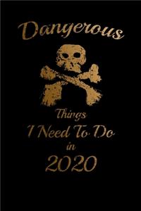 Dangerous Things I Need To Do in 2020 Humorous Minimalist Lined Notebook