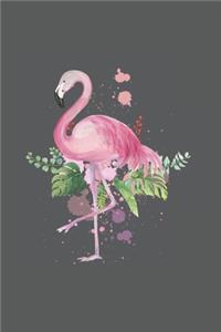 Colorful Flamingo