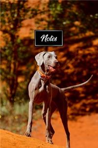 Weimaraner Dog Pup Puppy Doggie Notebook Bullet Journal Diary Composition Book Notepad - Red Desert Sand