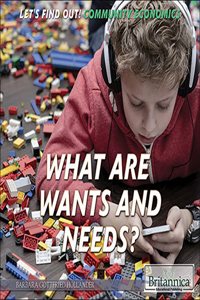 What Are Wants and Needs?