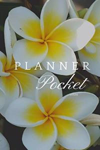 Planner Pocket 2020