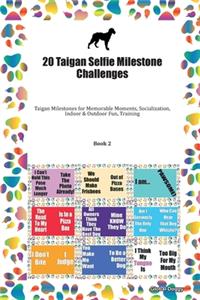 20 Taigan Selfie Milestone Challenges