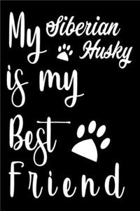 My Siberian Husky is my best friend