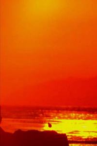 2020 Weekly Planner Orange Sky Sunset 134 Pages