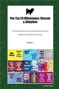 Pin-Tzu 20 Milestones