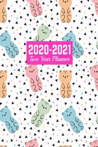 2020-2021 Two Year Planner