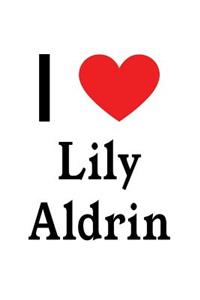 I Love Lily Aldrin: Lily Aldrin Designer Notebook