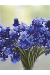 Florist Floristry Flower Bouquet Blue Lavender Flowers Bloom Vase Muscari Bulb