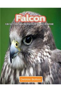 Falcon: Fun Facts and Amazing Photos of Animals in Nature