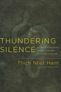 Thundering Silence