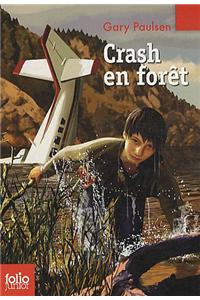 Crash en foret