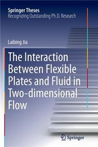 Interaction Between Flexible Plates and Fluid in Two-Dimensional Flow