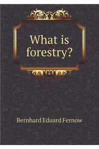 What Is Forestry?