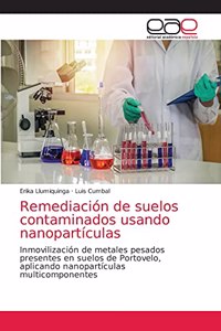 Remediación de suelos contaminados usando nanopartículas