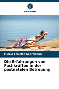 Erfahrungen von Fachkräften in der postnatalen Betreuung