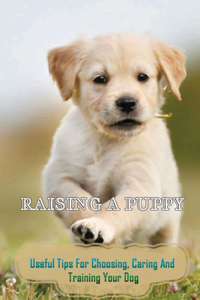 Raising A Puppy