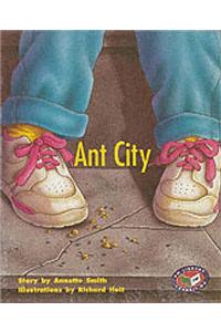 PM Turquoise Set C Fiction - Ant City (x6)