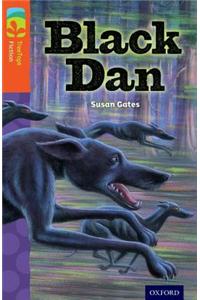 Oxford Reading Tree TreeTops Fiction: Level 13 More Pack A: Black Dan