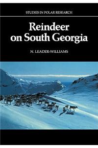 Reindeer on South Georgia