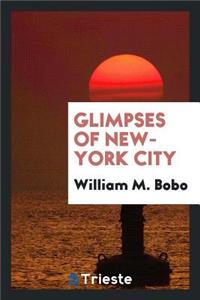 Glimpses of New York City