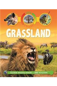 Life Cycles: Grassland