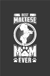 Best Maltese Mom Ever