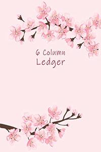 6 Column Ledger