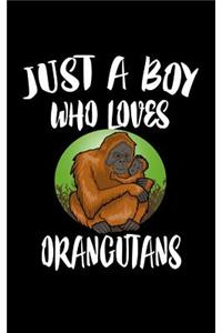 Just A Boy Who Loves Orangutans