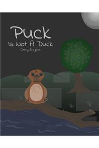 Puck Is Not A Duck