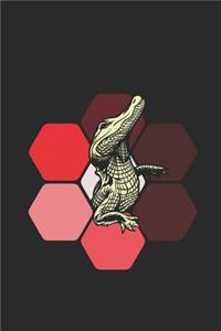 Crocodile Hexagon