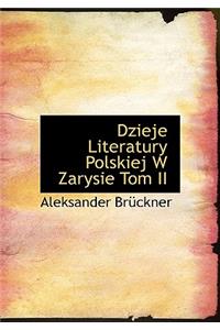 Dzieje Literatury Polskiej W Zarysie Tom II