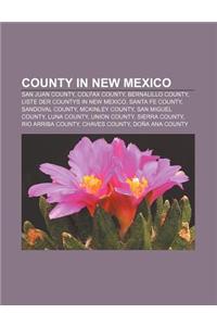 County in New Mexico