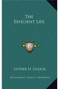 The Efficient Life