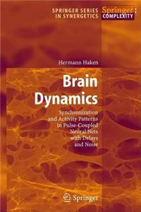 Brain Dynamics: Synchronization and Activity Patterns in Pulse-Coupled Neural Nets with Delays and Noise. Springer Series in Synergetics.