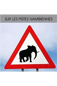 Sur Les Pistes Namibiennes 2018