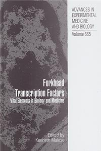 Forkhead Transcription Factors