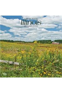 Illinois Wild & Scenic 2019 Square